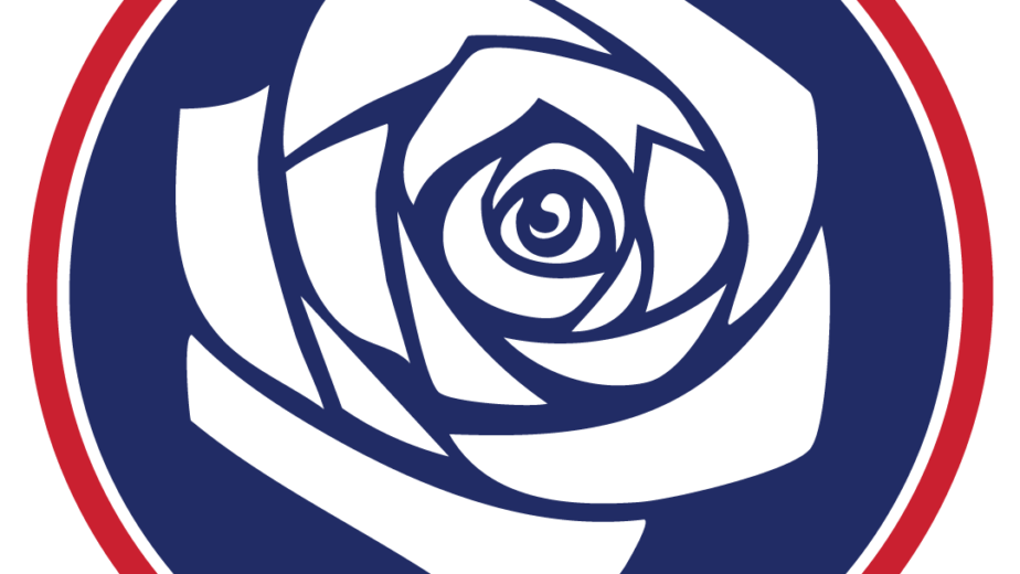 GB Freedom Party rosette