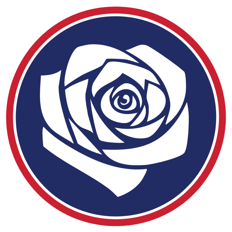 GB Freedom Party rosette